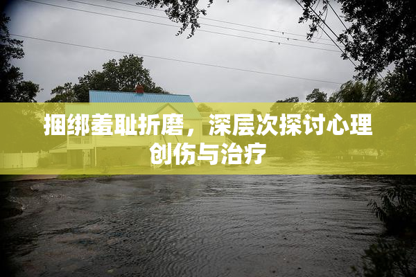 捆绑羞耻折磨，深层次探讨心理创伤与治疗