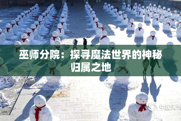 巫师分院:探寻魔法世界的神秘归属之地