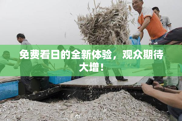 免费看日的全新体验，观众期待大增！