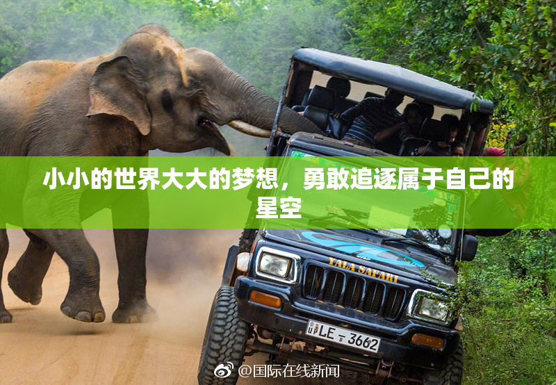 小小的世界大大的梦想,勇敢追逐属于自己的星空