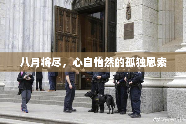 八月将尽，心自怡然的孤独思索