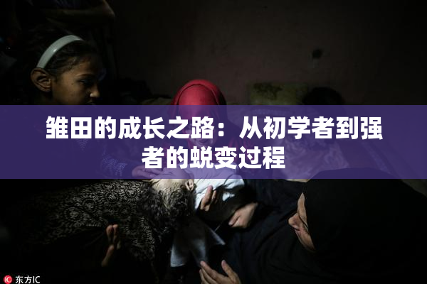 雏田的成长之路：从初学者到强者的蜕变过程