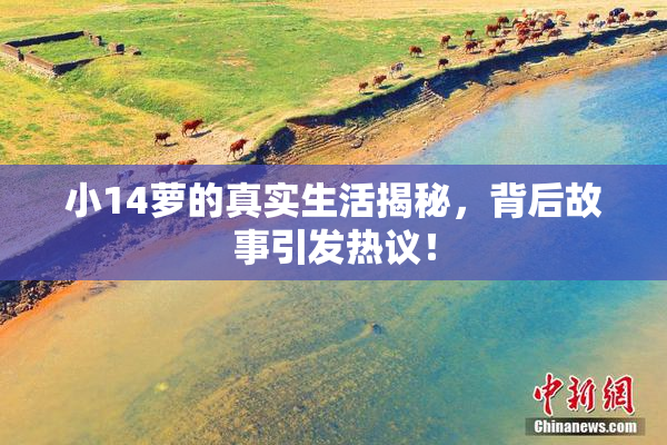 小14萝的真实生活揭秘，背后故事引发热议！