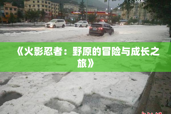 《火影忍者：野原的冒险与成长之旅》
