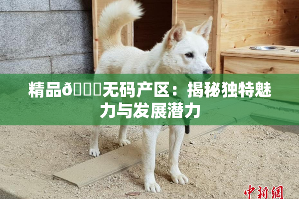 精品🌃无码产区：揭秘独特魅力与发展潜力