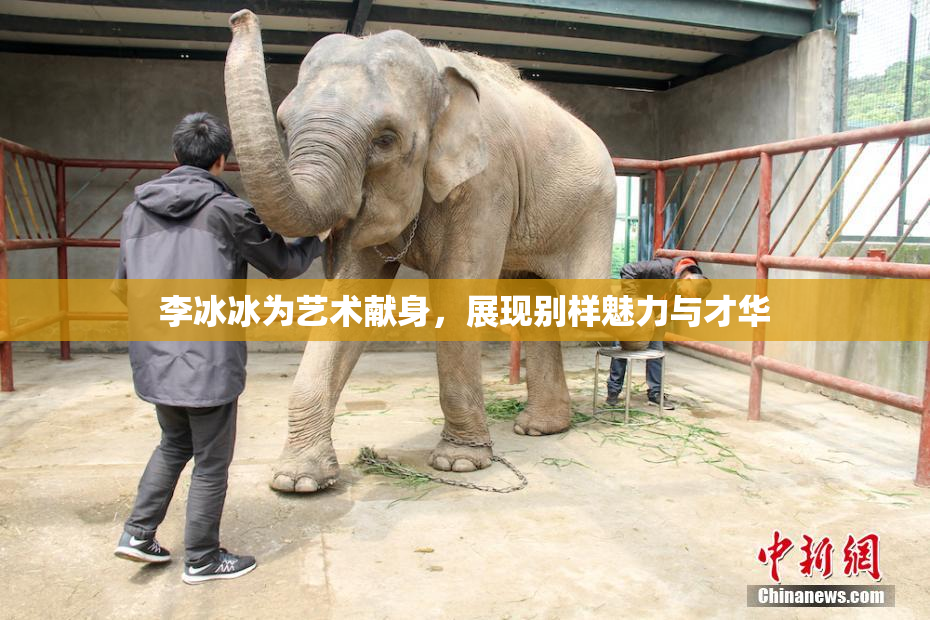 李冰冰为艺术献身，展现别样魅力与才华