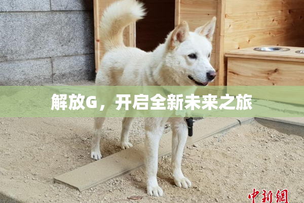 解放G，开启全新未来之旅