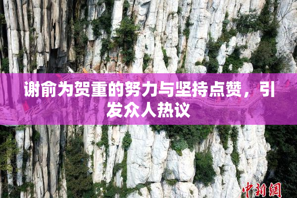 谢俞为贺重的努力与坚持点赞，引发众人热议