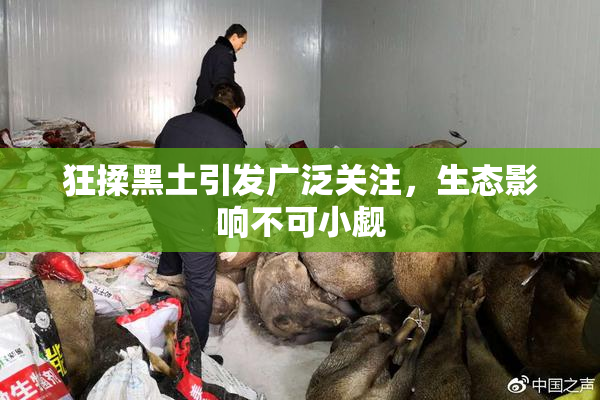 狂揉黑土引发广泛关注，生态影响不可小觑