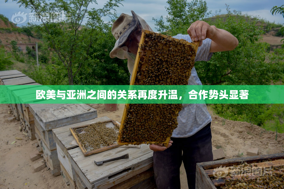 欧美与亚洲之间的关系再度升温，合作势头显著