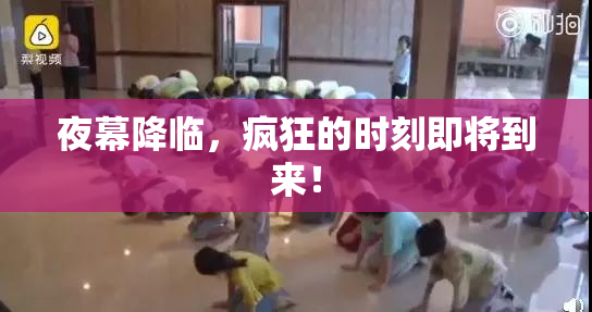 夜幕降临，疯狂的时刻即将到来！