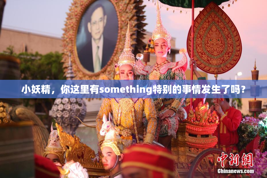 小妖精，你这里有something特别的事情发生了吗？