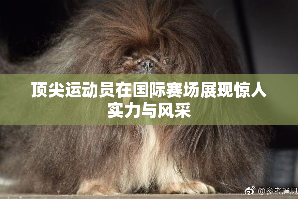 顶尖运动员在国际赛场展现惊人实力与风采