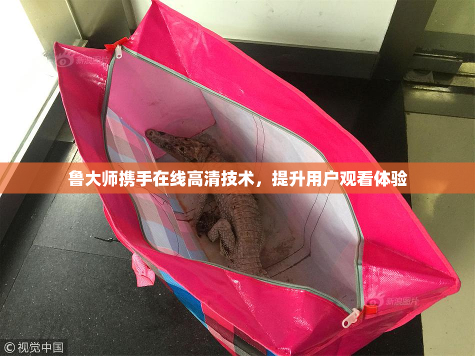 鲁大师携手在线高清技术，提升用户观看体验