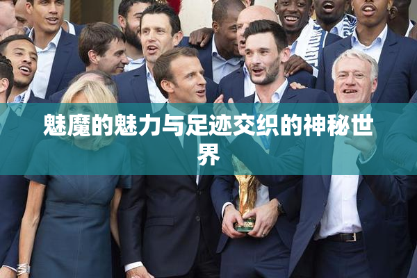 魅魔的魅力与足迹交织的神秘世界