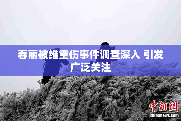 春丽被维重伤事件调查深入 引发广泛关注