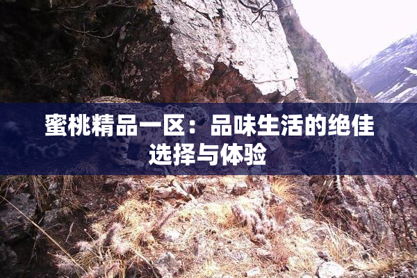 蜜桃精品一区：品味生活的绝佳选择与体验