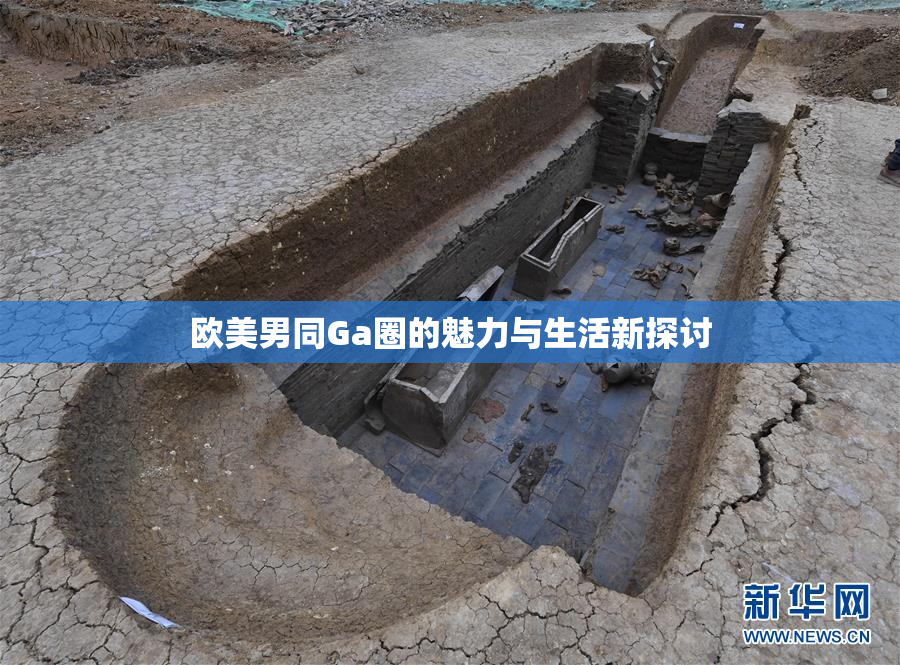 欧美男同Ga圈的魅力与生活新探讨