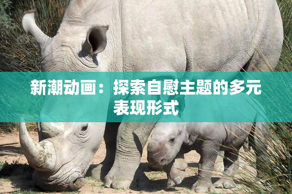 新潮动画：探索自慰主题的多元表现形式