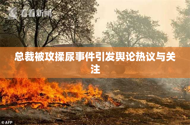 总裁被攻揉尿事件引发舆论热议与关注