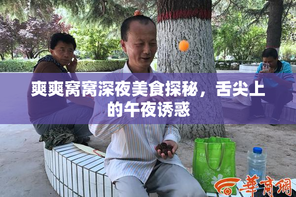 爽爽窝窝深夜美食探秘，舌尖上的午夜诱惑
