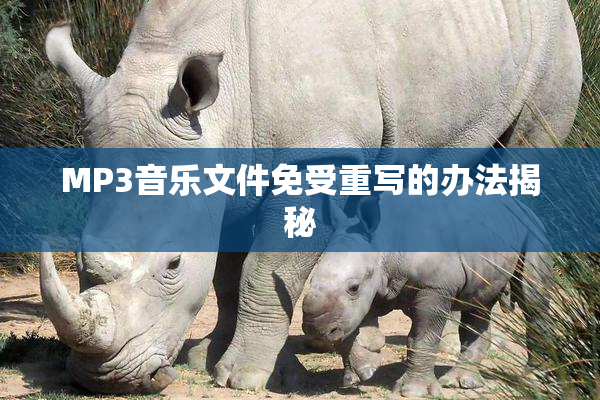 MP3音乐文件免受重写的办法揭秘