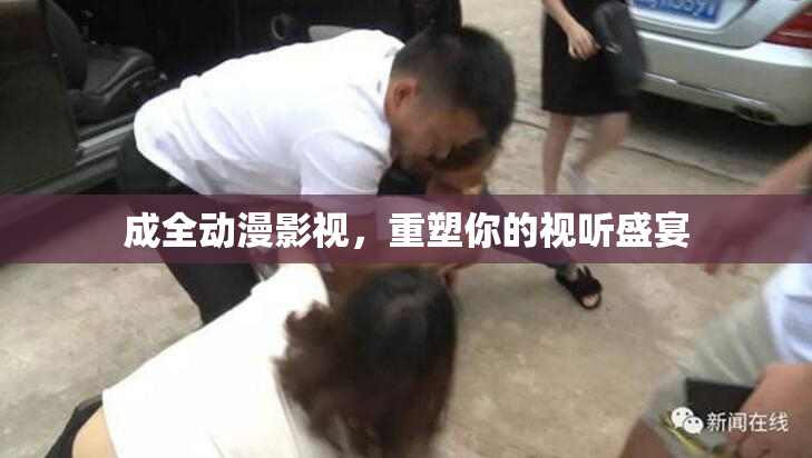 成全动漫影视，重塑你的视听盛宴
