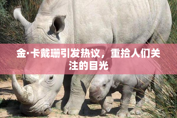 金·卡戴珊引发热议，重拾人们关注的目光