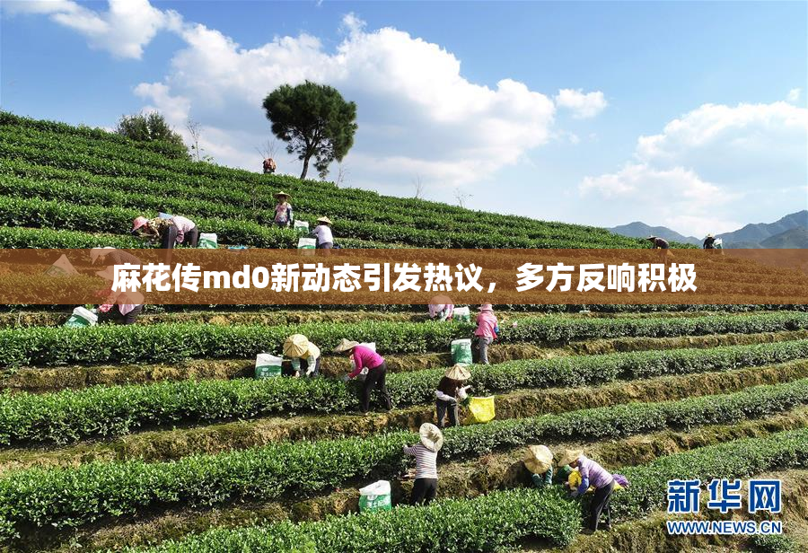麻花传md0新动态引发热议，多方反响积极