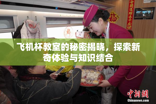 飞机杯教室的秘密揭晓，探索新奇体验与知识结合