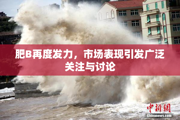 肥B再度发力，市场表现引发广泛关注与讨论