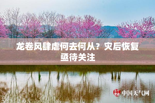 龙卷风肆虐何去何从？灾后恢复亟待关注