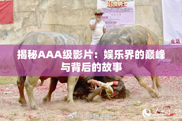 揭秘AAA级影片：娱乐界的巅峰与背后的故事