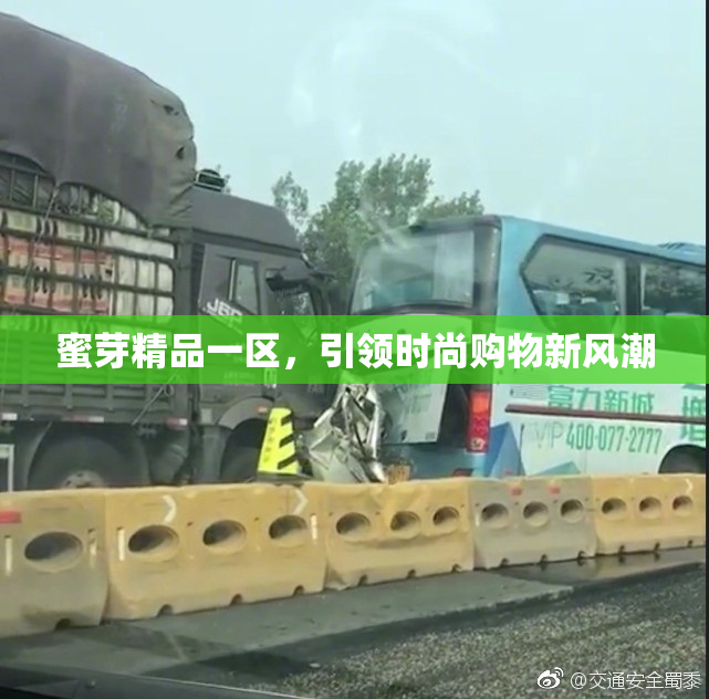 蜜芽精品一区，引领时尚购物新风潮