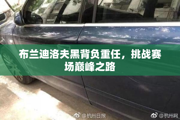 布兰迪洛夫黑背负重任，挑战赛场巅峰之路