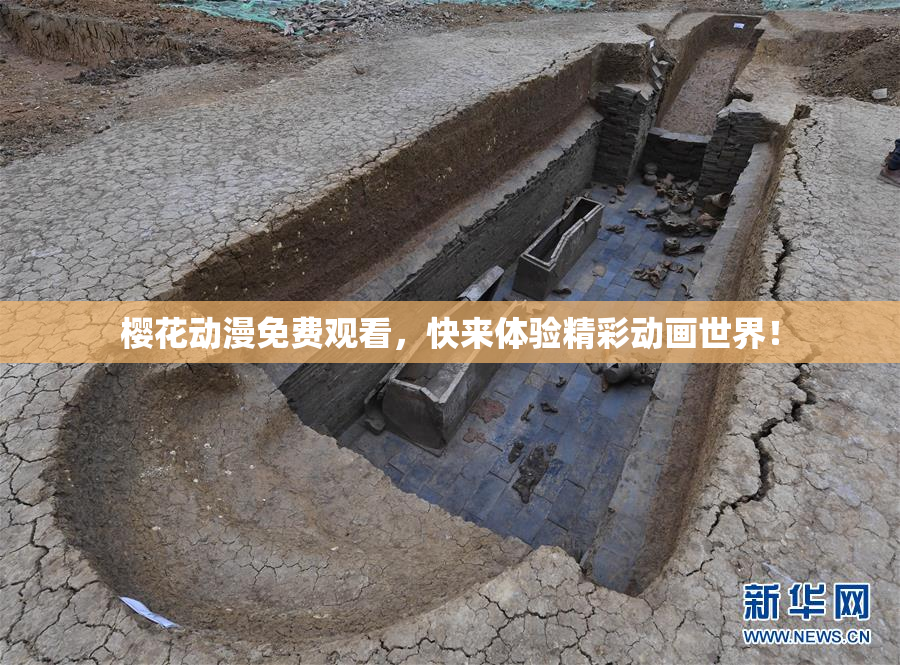 樱花动漫免费观看，快来体验精彩动画世界！