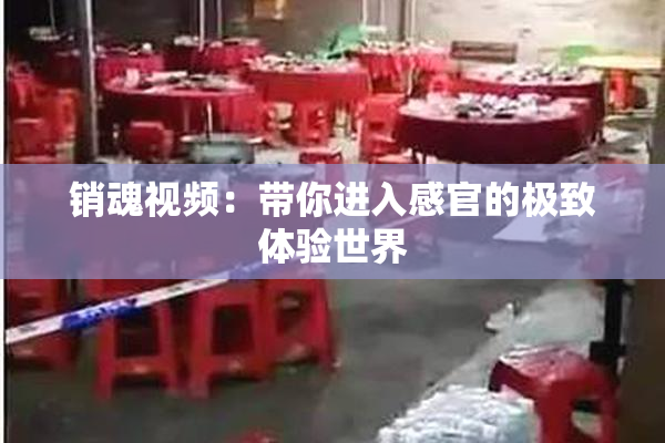 销魂视频：带你进入感官的极致体验世界
