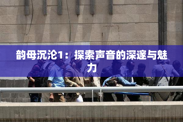 韵母沉沦1：探索声音的深邃与魅力