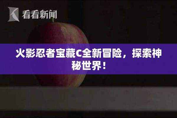 火影忍者宝藏C全新冒险，探索神秘世界！