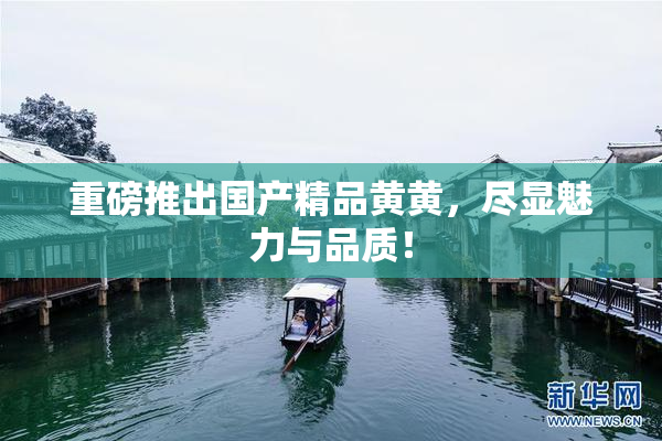 重磅推出国产精品黄黄，尽显魅力与品质！