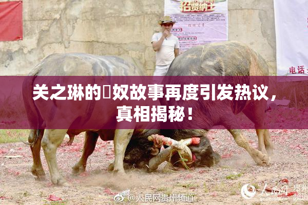 关之琳的婬奴故事再度引发热议，真相揭秘！