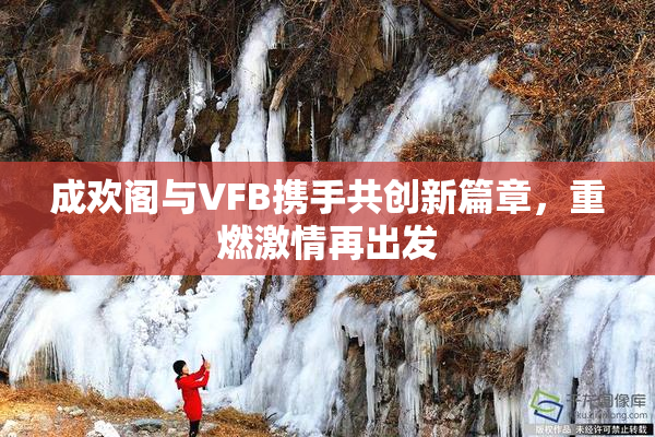 成欢阁与VFB携手共创新篇章，重燃激情再出发