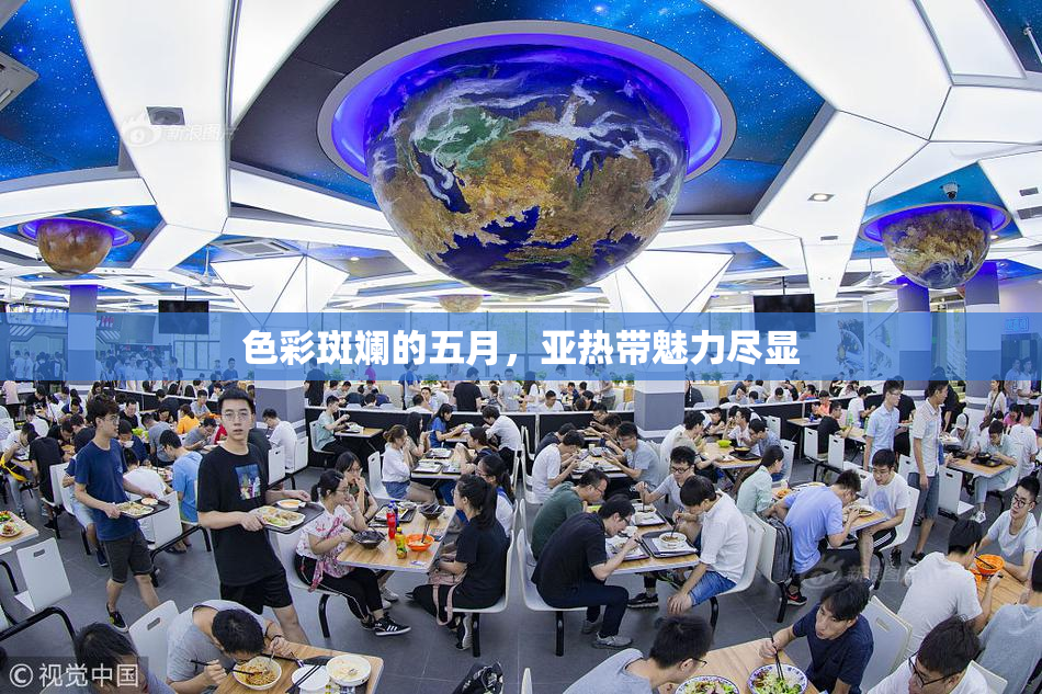 色彩斑斓的五月，亚热带魅力尽显