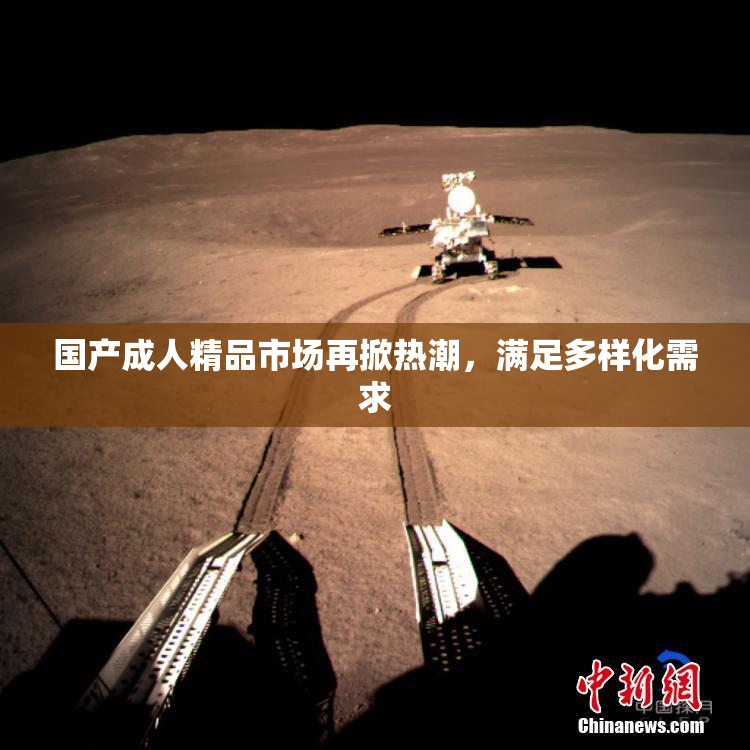 国产成人精品市场再掀热潮，满足多样化需求