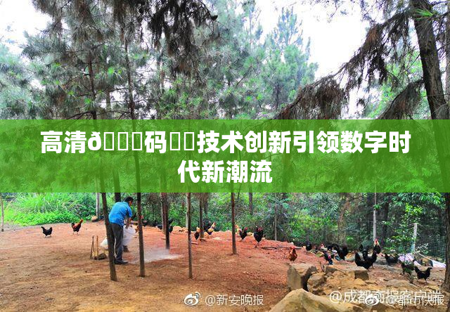 高清🈚码❌‌技术创新引领数字时代新潮流