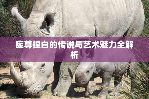 庞尊捏白的传说与艺术魅力全解析