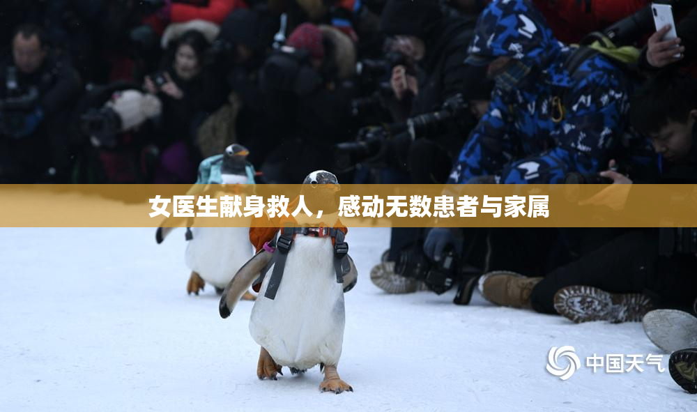 女医生献身救人，感动无数患者与家属