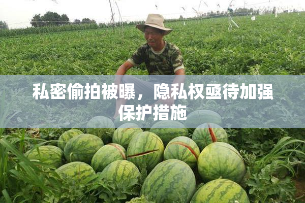 私密偷拍被曝，隐私权亟待加强保护措施