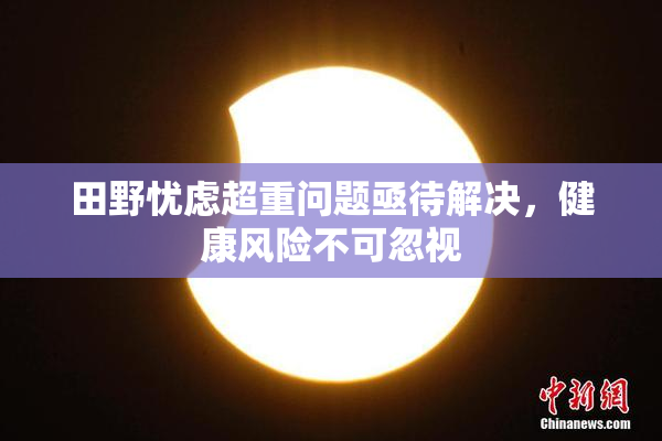 田野忧虑超重问题亟待解决，健康风险不可忽视