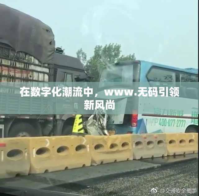 在数字化潮流中，www.无码引领新风尚